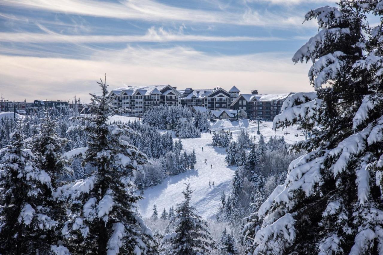 Ski In/Out สโนว์ชู ภายนอก รูปภาพ